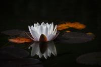 Lorem ipsum dolor sit amet, consetetur sadipscing elitr, sed diam nonumy eirmod tempor invidunt ut labore et dolore magna aliquyam erat, sed diam voluptua. At vero eos et accusam et justo duo dolores et ea rebum. Stet clita kasd gubergren, no sea takimata sanctus est Lorem ipsum dolor sit amet. Lorem ipsum dolor sit amet, consetetur sadipscing elitr, sed diam nonumy eirmod tempor invidunt ut labore et dolore magna aliquyam erat, sed diam voluptua. At vero eos et accusam et justo duo dolores et ea rebum. Stet clita kasd gubergren, no sea takimata sanctus est Lorem ipsum dolor sit amet.
